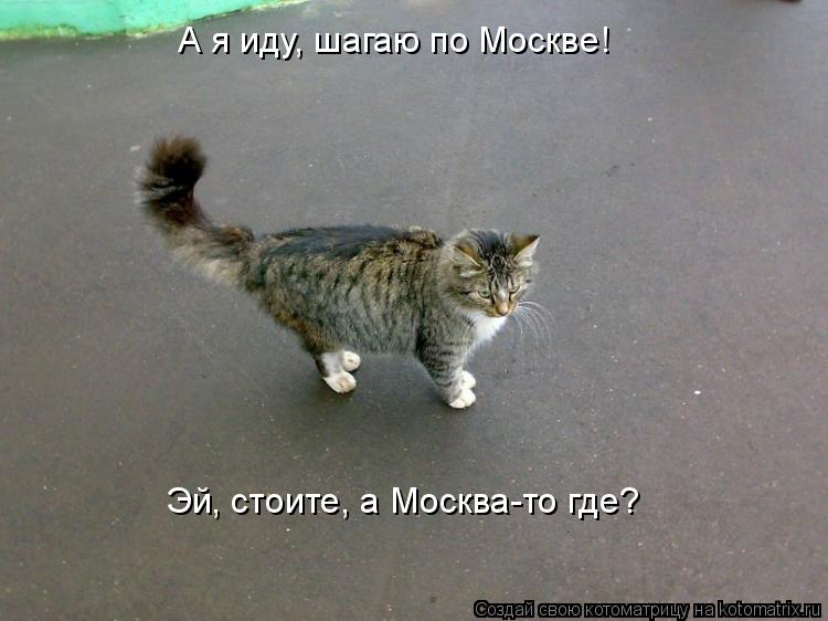 А я иду, шагаю по Москве! Эй, стоите, а Москва-то где?... Котоматрица: А я иду, шагаю по Москве! Эй, стоите, а Москва-то где?