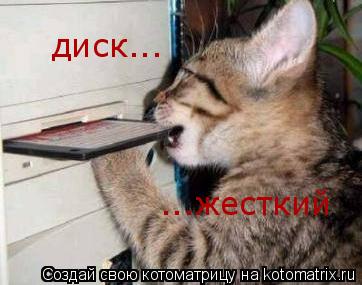 Котоматрица: диск... ...жесткий
