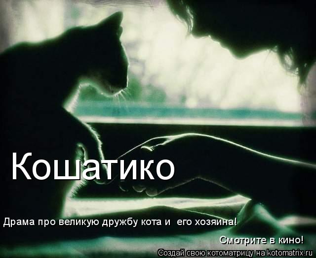 Кошатико Драма про великую дружбу кота и его хозяина! Смотрите в кино!... Котоматрица: Кошатико Драма про великую дружбу кота и его хозяина! Смотрите в кино!
