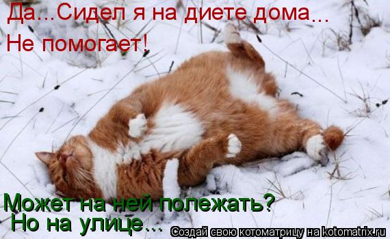 Да...Сидел я на диете дома ... Не помогает! Может на ней полежать? Но на улице...... Котоматрица: Да...Сидел я на диете дома ... Не помогает! Может на ней полежать? Но на улице...