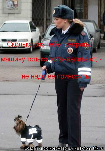 Сколько раз тебе говорить: не надо ее приносить! машину только останавливают, -... Котоматрица: Сколько раз тебе говорить: не надо ее приносить! машину только останавливают, -