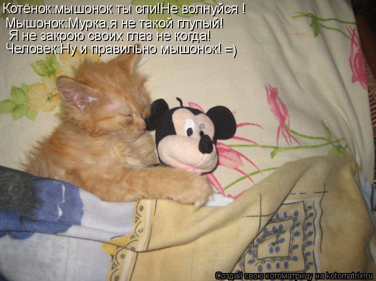 Котёнок:мышонок ты спи!Не волнуйся ! Мышонок:Мурка,я не такой глупый! Я не закрою своих глаз не когда... Котоматрица: Котёнок:мышонок ты спи!Не волнуйся ! Мышонок:Мурка,я не такой глупый! Я не закрою своих глаз не когда! Человек:Ну и правильно мышонок! =)