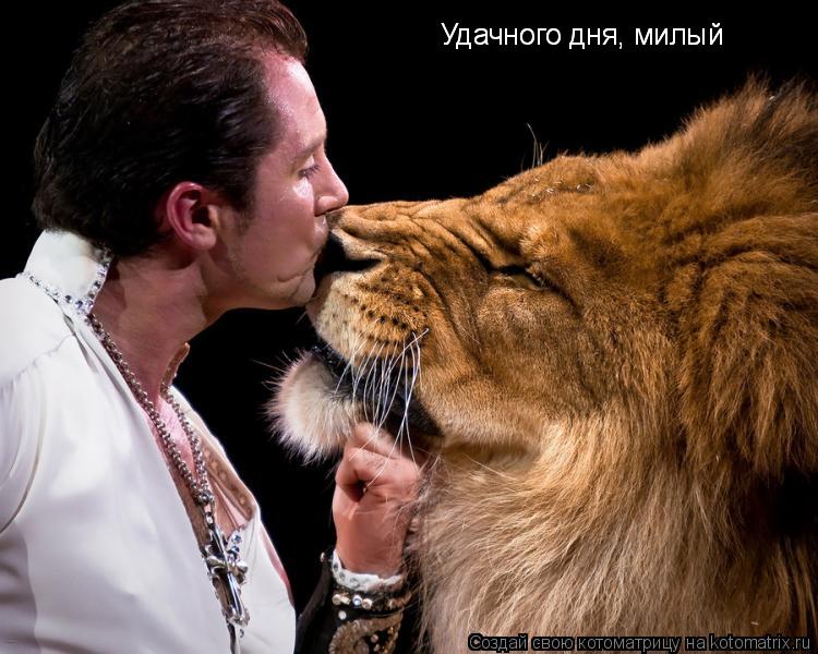 Удачного дня, милый Удачного дня, милый... Котоматрица: Удачного дня, милый Удачного дня, милый