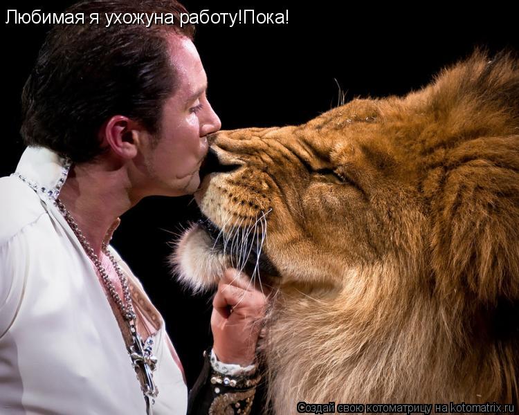 Любимая я ухожуна работу!Пока!... Котоматрица: Любимая я ухожуна работу!Пока!