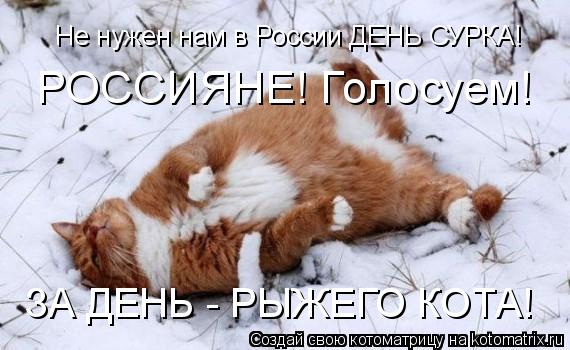 Не нужен нам в России ДЕНЬ СУРКА! РОССИЯНЕ! Голосуем! ЗА ДЕНЬ - РЫЖЕГО КОТА!... Котоматрица: Не нужен нам в России ДЕНЬ СУРКА! РОССИЯНЕ! Голосуем! ЗА ДЕНЬ - РЫЖЕГО КОТА!