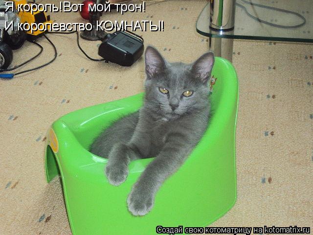 Я король!Вот мой трон! И королевство КОМНАТЫ! И королевство КОМНАТЫ!... Котоматрица: Я король!Вот мой трон! И королевство КОМНАТЫ! И королевство КОМНАТЫ!