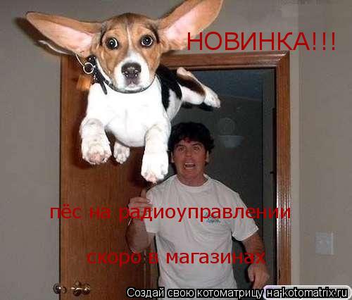 НОВИНКА!!! пёс на радиоуправлении скоро в магазинах... Котоматрица: НОВИНКА!!! пёс на радиоуправлении скоро в магазинах