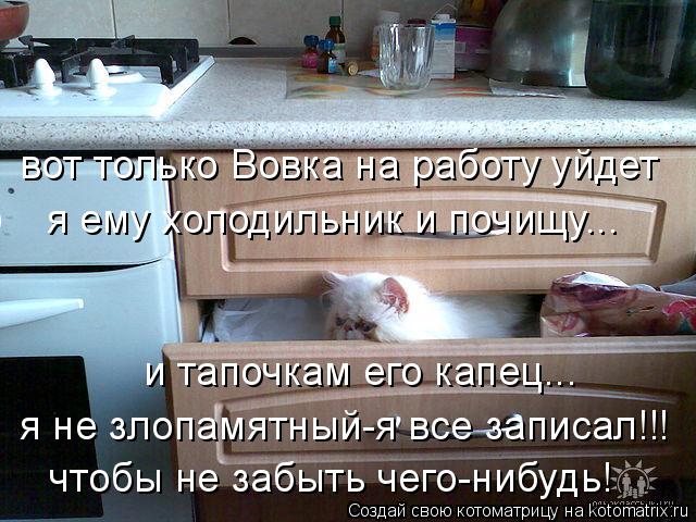 вот только Вовка на работу уйдет я ему холодильник и почищу... и тапочкам его капец... я не злопамятн... Котоматрица: вот только Вовка на работу уйдет я ему холодильник и почищу... и тапочкам его капец... я не злопамятный-я все записал!!! чтобы не забыть чего-ни