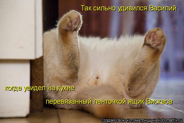 Так сильно удивился Василий когда увидел на кухне перевязанный ленточкой ящик Вискаса... Котоматрица: Так сильно удивился Василий когда увидел на кухне перевязанный ленточкой ящик Вискаса