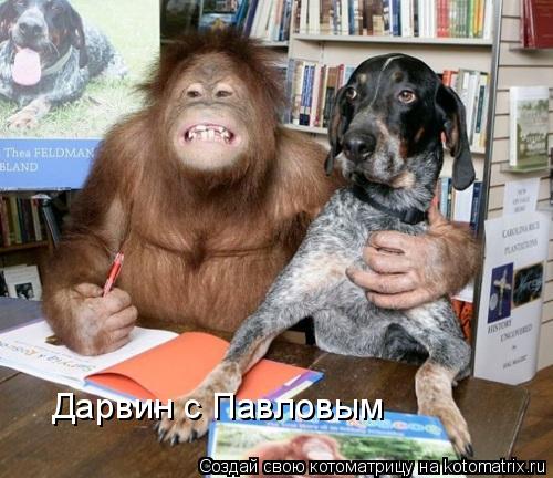 Дарвин с Павловым... Котоматрица: Дарвин с Павловым