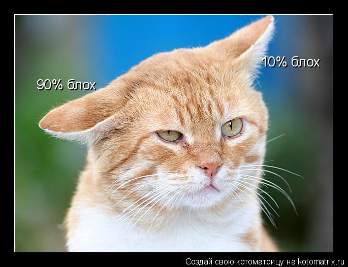 90% блох 10% блох... Котоматрица: 90% блох 10% блох
