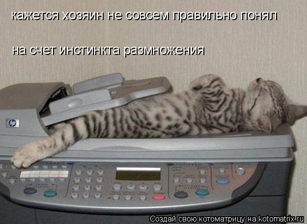 кажется хозяин не совсем правильно понял на счет инстинкта размножения... Котоматрица: кажется хозяин не совсем правильно понял на счет инстинкта размножения