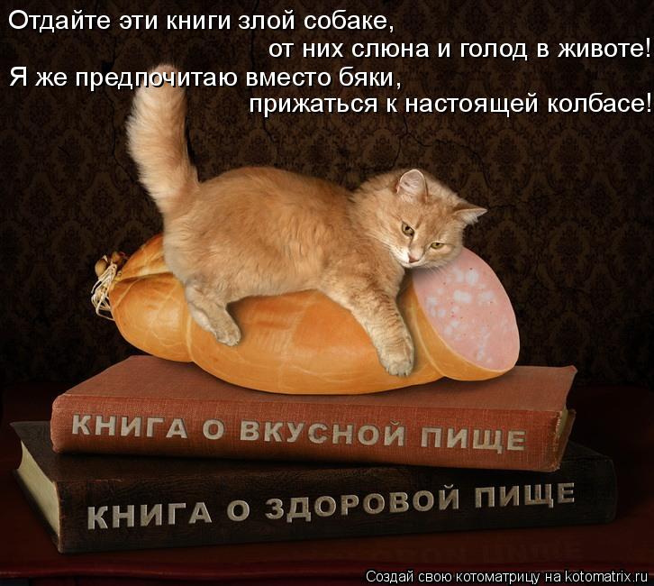 Отдайте эти книги злой собаке, от них слюна и голод в животе! Я же предпочитаю вместо бяки, прижат... Котоматрица: Отдайте эти книги злой собаке, от них слюна и голод в животе! Я же предпочитаю вместо бяки, прижаться к настоящей колбасе!