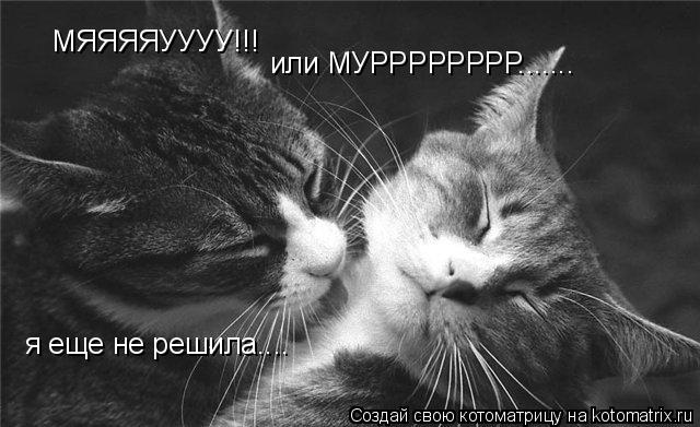 МЯЯЯЯУУУУ!!! я еще не решила.... или МУРРРРРРРР.......... Котоматрица: МЯЯЯЯУУУУ!!! я еще не решила.... или МУРРРРРРРР.......