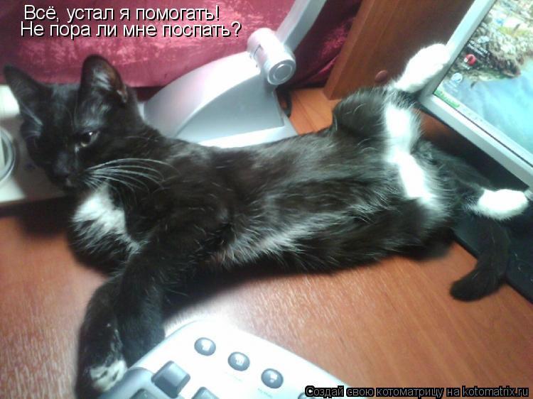 Всё, устал я помогать! Не пора ли мне поспать?... Котоматрица: Всё, устал я помогать! Не пора ли мне поспать?