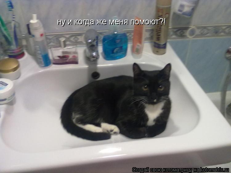 ну и когда же меня помоют?!... Котоматрица: ну и когда же меня помоют?!