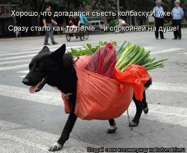Хорошо,что догадался съесть колбаску.И уже Сразу стало как-то легче... и спокойней на душе!... Котоматрица: Хорошо,что догадался съесть колбаску.И уже Сразу стало как-то легче... и спокойней на душе!