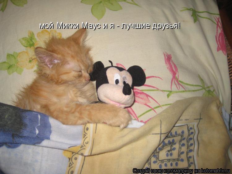 мой Микки Маус и я - лучшие друзья!... Котоматрица: мой Микки Маус и я - лучшие друзья!
