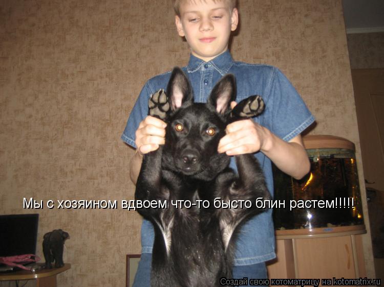Мы с хозяином вдвоем что-то бысто блин растем!!!!!... Котоматрица: Мы с хозяином вдвоем что-то бысто блин растем!!!!!