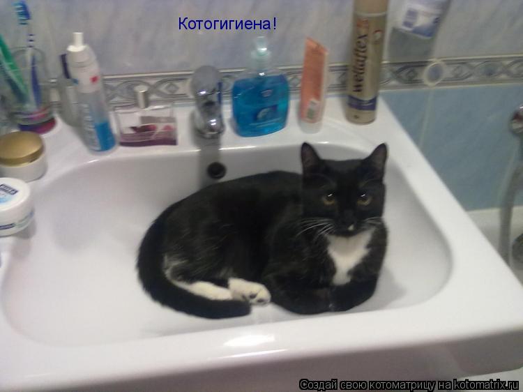 Котогигиена!... Котоматрица: Котогигиена!