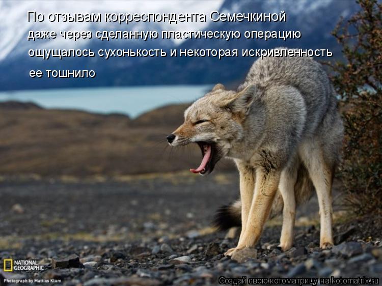 По отзывам корреспондента Семечкиной даже через сделанную пластическую операцию ощущалось сухонькость... Котоматрица: По отзывам корреспондента Семечкиной даже через сделанную пластическую операцию ощущалось сухонькость и некоторая искривленность ее тош