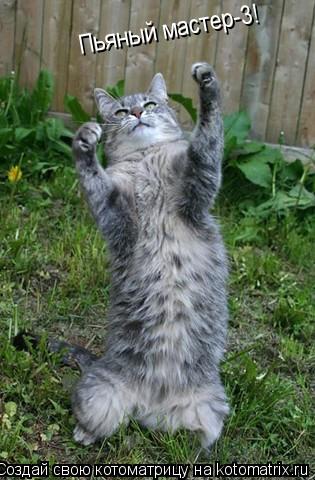 Пьяный мастер-3!... Котоматрица: Пьяный мастер-3!