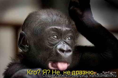 Кто? Я? Не, не дразню...... Котоматрица: Кто? Я? Не, не дразню...