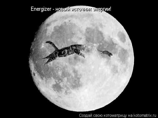 Energizer - новый источник энергии!... Котоматрица: Energizer - новый источник энергии!
