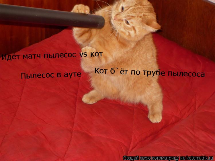 Идёт матч пылесос vs кот Кот б`ёт по трубе пылесоса Пылесос в ауте... Котоматрица: Идёт матч пылесос vs кот Кот б`ёт по трубе пылесоса Пылесос в ауте