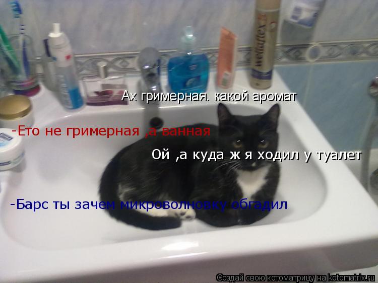 Ах гримерная. какой аромат -Ето не гримерная ,а ванная Ой ,а куда ж я ходил у туалет -Барс ты зачем м... Котоматрица: Ах гримерная. какой аромат -Ето не гримерная ,а ванная Ой ,а куда ж я ходил у туалет -Барс ты зачем микроволновку обгадил