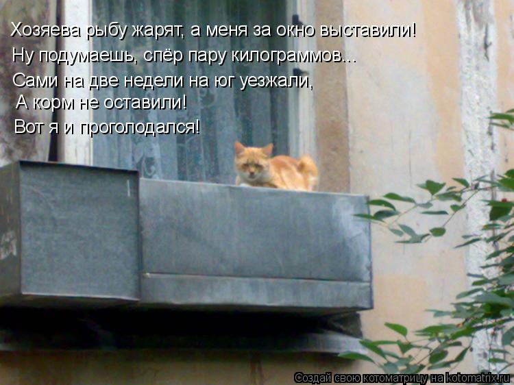 Хозяева рыбу жарят, а меня за окно выставили! Ну подумаешь, спёр пару килограммов... Сами на две неде... Котоматрица: Хозяева рыбу жарят, а меня за окно выставили! Ну подумаешь, спёр пару килограммов... Сами на две недели на юг уезжали, А корм не оставили! Вот