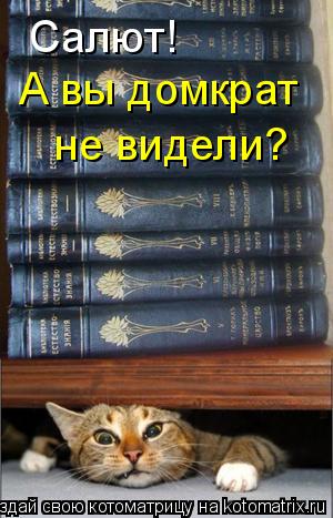 Салют! А вы домкрат не видели?... Котоматрица: Салют! А вы домкрат не видели?