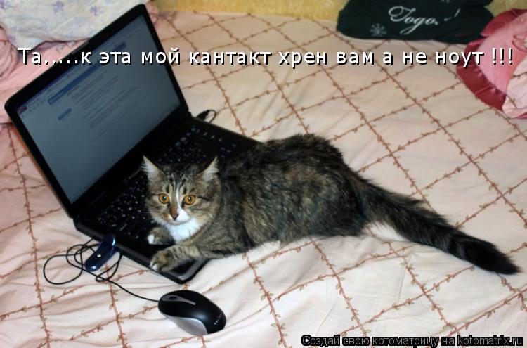 Та.....к эта мой кантакт хрен вам а не ноут !!!... Котоматрица: Та.....к эта мой кантакт хрен вам а не ноут !!!
