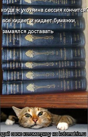 когда ж ухозяина сессия кончится? замаялся доставать все кидает и кидает бумажки,... Котоматрица: когда ж ухозяина сессия кончится? замаялся доставать все кидает и кидает бумажки,
