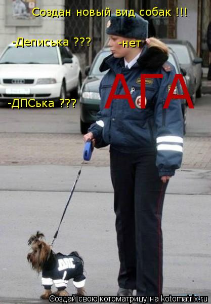 Создан новый вид собак !!! -Деписька ??? -нет -ДПСька ??? АГА... Котоматрица: Создан новый вид собак !!! -Деписька ??? -нет -ДПСька ??? АГА