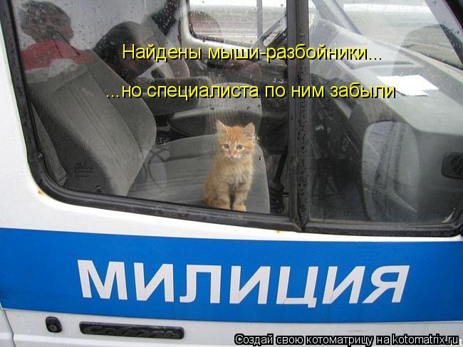 Найдены мыши-разбойники... ...но специалиста по ним забыли... Котоматрица: Найдены мыши-разбойники... ...но специалиста по ним забыли