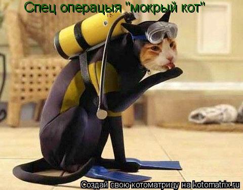 Котоматрица: Спец операцыя "мокрый кот"