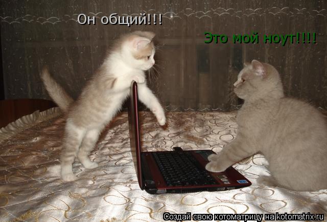 Котоматрица: Это мой ноут!!!! Он общий!!!