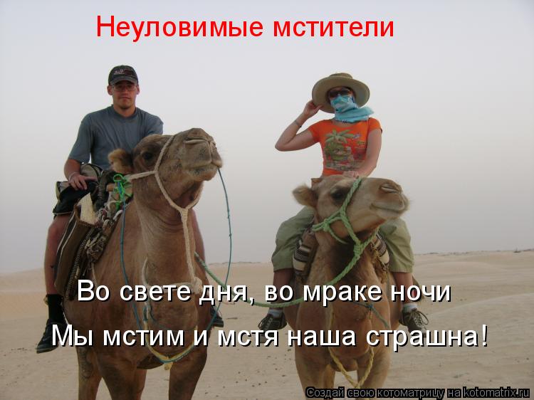 Котоматрица: Неуловимые мстители Во свете дня, во мраке ночи Мы мстим и мстя наша страшна!