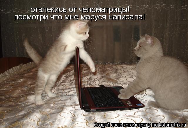 Котоматрица: отвлекись от челоматрицы!   посмотри что мне маруся написала!