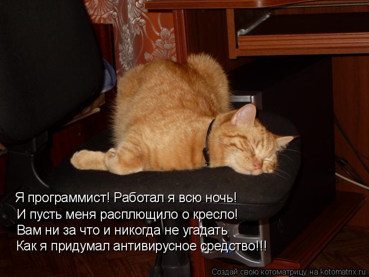 Котоматрица: Я программист! Работал я всю ночь! И пусть меня расплющило о кресло! Вам ни за что и никогда не угадать Как я придумал антивирусное средство!!