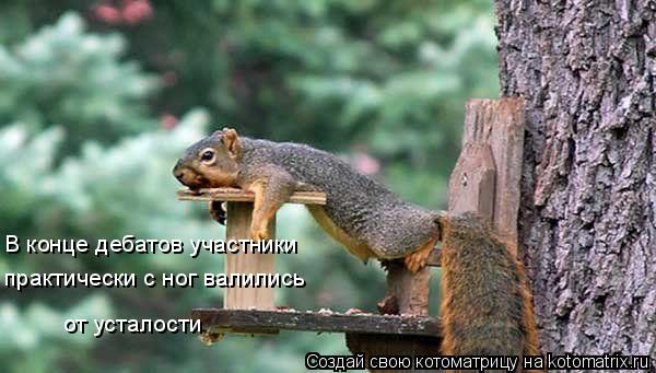 Котоматрица: В конце дебатов участники практически с ног валились от усталости