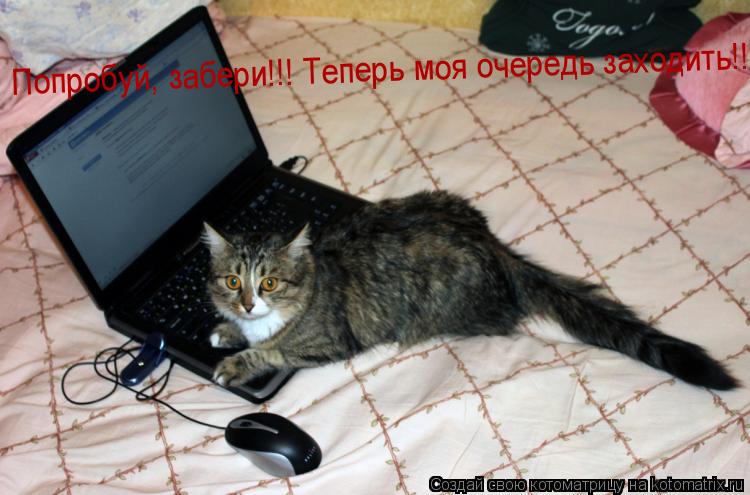 Попробуй, забери!!! Теперь моя очередь заходить!!!... Котоматрица: Попробуй, забери!!! Теперь моя очередь заходить!!!