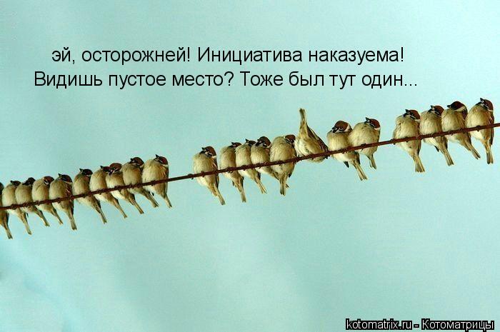 эй, осторожней! Инициатива наказуема! Видишь пустое место? Тоже был тут один...... Котоматрица: эй, осторожней! Инициатива наказуема! Видишь пустое место? Тоже был тут один...