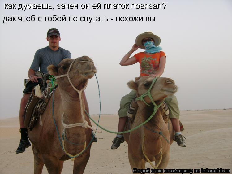 как думаешь, зачен он ей платок повязал? дак чтоб с тобой не спутать - похожи вы... Котоматрица: как думаешь, зачен он ей платок повязал? дак чтоб с тобой не спутать - похожи вы