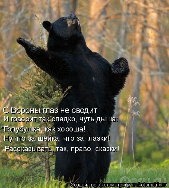 С Вороны глаз не сводит И говорит так сладко, чуть дыша: "Голубушка, как хороша! Ну что за шейка, ч... Котоматрица: С Вороны глаз не сводит И говорит так сладко, чуть дыша: "Голубушка, как хороша! Ну что за шейка, что за глазки! Рассказывать, так, право, сказ