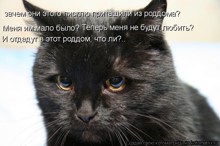 Меня им мало было? зачем они этого писклю притащили из роддома? Теперь меня не будут любить? И отдаду... Котоматрица: Меня им мало было? зачем они этого писклю притащили из роддома? Теперь меня не будут любить? И отдадут в этот роддом, что ли?..