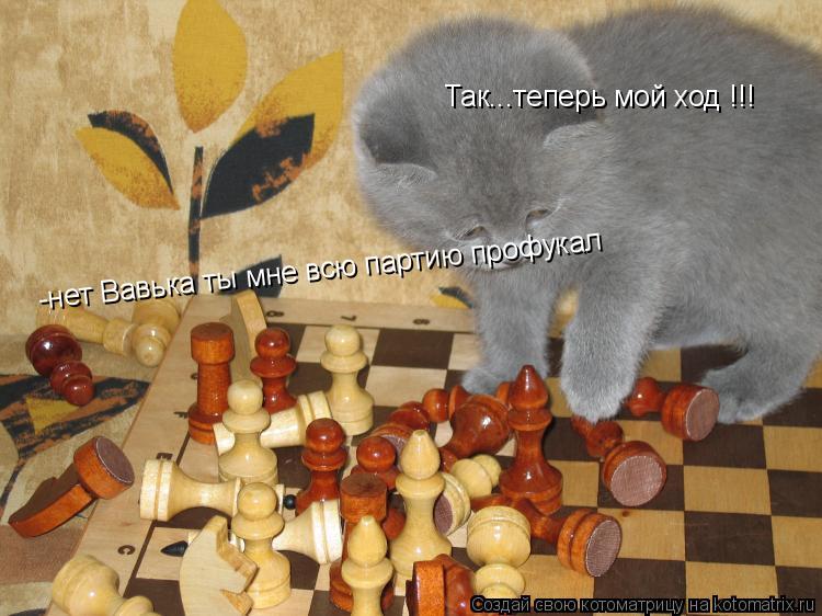 Так...теперь мой ход !!! -нет Вавька ты мне всю партию профукал... Котоматрица: Так...теперь мой ход !!! -нет Вавька ты мне всю партию профукал