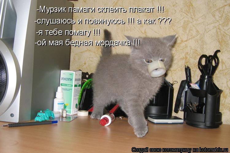 -Мурзик памаги склеить плакат !!! -слушаюсь и повинуюсь !!! а как ??? -я тебе помагу !!! -ой мая бедн... Котоматрица: -Мурзик памаги склеить плакат !!! -слушаюсь и повинуюсь !!! а как ??? -я тебе помагу !!! -ой мая бедная мордачка !!!