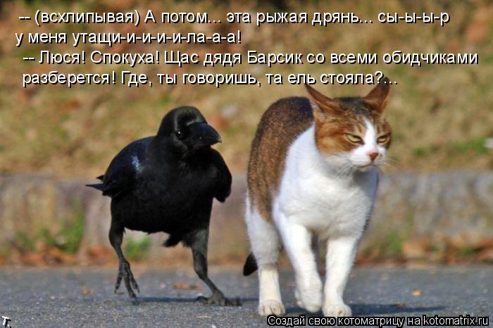 -- (всхлипывая) А потом... эта рыжая дрянь... сы-ы-ы-р у меня утащи-и-и-и-и-ла-а-а! -- Люся! Спокуха!... Котоматрица: -- (всхлипывая) А потом... эта рыжая дрянь... сы-ы-ы-р у меня утащи-и-и-и-и-ла-а-а! -- Люся! Спокуха! Щас дядя Барсик со всеми обидчиками разберется!